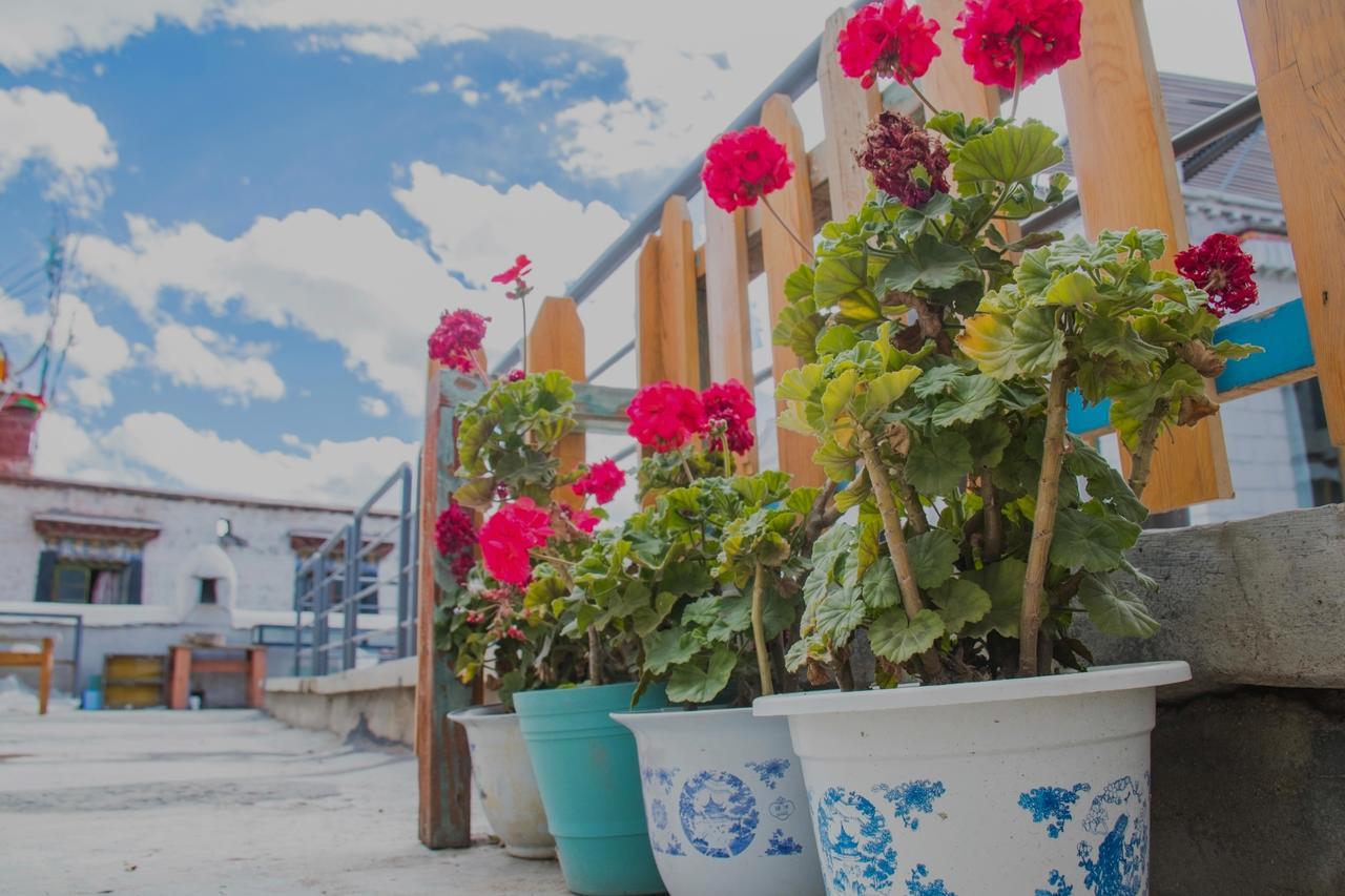 Fengma Feiyang Hostel Lhasa Luaran gambar